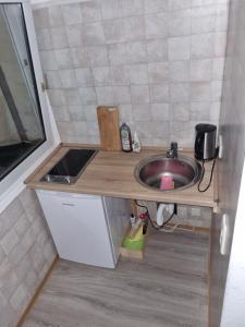 a tiny kitchen with a sink and a counter top at Gemütliche 1 Zimmerwohnung am Casino Baden-Baden in Baden-Baden