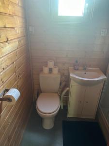 a small bathroom with a toilet and a sink at Domki Międzyzdroje in Międzyzdroje +8 photos