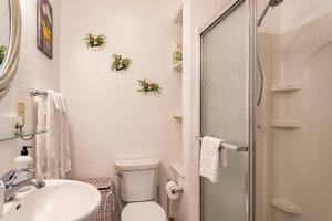 a bathroom with a toilet and a sink and a shower at Sea Cave, OBX gem, private studio, couple's nest! in Kill Devil Hills