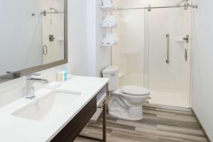 Hampton Inn Petaluma, Ca的一间浴室