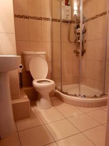 een badkamer met een toilet en een douche bij Bright, modern apartment in Grand Canal Dock in Dublin