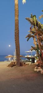 a palm tree and a picnic table on the beach at Brily home in Vélez-Málaga