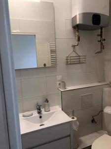a bathroom with a sink and a mirror and a toilet at Spí v Kuklenách in Hradec Králové