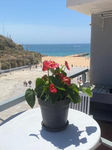 um vaso de plantas sobre uma mesa com vista para a praia em Albufeira Portugal Maria appt em Albufeira