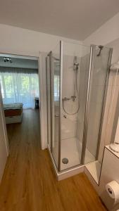 a bathroom with a glass shower in a room at Wohlfühlen im Herzen von Schopfheim in Schopfheim