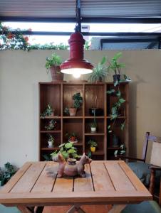 una habitación con una mesa con macetas. en SOLES Hostel Boutique en Rosario