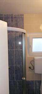 a bathroom with a shower and a toilet and a window at Rustic in Vir
