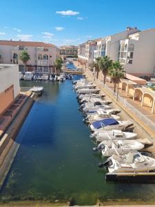 un grupo de barcos están estacionados en un puerto deportivo en Sète vue mer linge fourni, en Sète