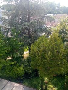 a view of a tree from a window at Villa Arc en Ciel et clé des champs in Contrexéville