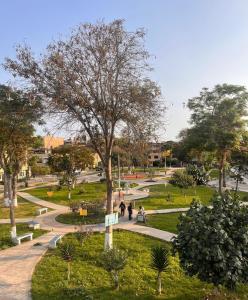 un parque con un árbol y gente caminando por un camino en Casa hospedaje Ingeniería - Lima en Lima