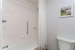 Hampton Inn And Suites Guymon的一间浴室