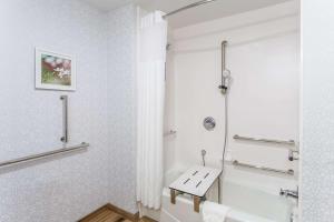 Hampton Inn And Suites Guymon的一间浴室