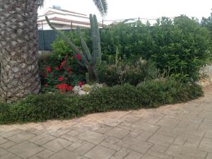 Zahrada ubytování Masseria Casale Dei Fornici
