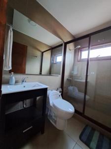 a bathroom with a toilet and a sink and a mirror at Lodge Tregualemu in Cobquecura