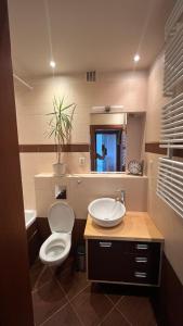 La salle de bains est pourvue de toilettes et d'un lavabo. dans l'établissement Warszawa Bemowo Pokoje, à Varsovie