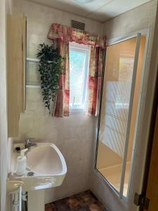 a bathroom with a sink and a shower and a window at Domki Delux w Helu in Hel