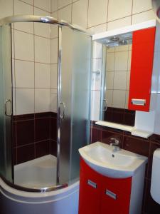 a bathroom with a shower and a sink at Drakulovic apartmani in Herceg-Novi