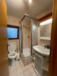 a bathroom with a toilet and a shower and a sink at Frisch renovierte, familienfreundliche 1-Zi FeWo am Bach und zwischen zwei Seen 