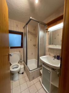 a bathroom with a toilet and a shower and a sink at Kleine, familienfreundliche 1-Zi FeWo am Bach und zwischen zwei Seen in Fahl