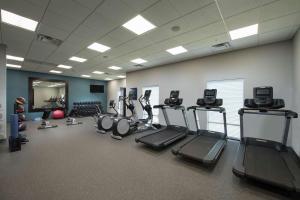 Centrul de fitness și/sau facilități de fitness de la Hampton Inn & Suites Snellville Atlanta Ne