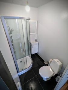 a bathroom with a toilet and a glass shower at Central Apartments in Vestmannaeyjar