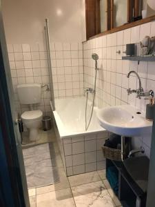 a bathroom with a toilet and a sink at Idylle unter Reet, gemütliche Ferienwohnug in Haseldorf