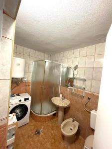 a small bathroom with a toilet and a sink at Apartments Medunić in Ribarica