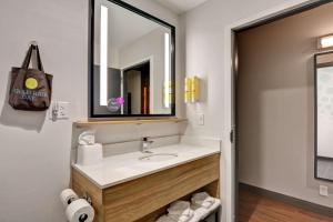 Tru By Hilton Idaho Falls Id的一间浴室
