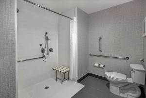 Bagno di Hampton Inn Weslaco