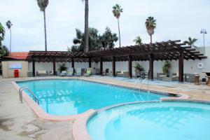 a swimming pool at a resort with palm trees at Hotel Quintas Papagayo in Ensenada