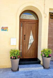 two potted plants in front of a wooden door at Azure W B&B in San Lawrenz