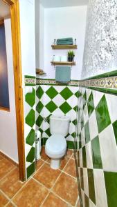 a bathroom with a toilet with a green and white checkered wall at Casa rural Almazara in Letur +8 photos