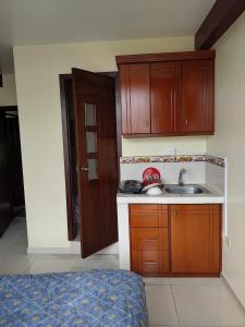 eine kleine Küche mit Holzschränken und einem Waschbecken in der Unterkunft Ideal para descansar in Ambato