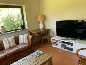 sala de estar con sofá y TV de pantalla plana en La casa al Lago, en Trevignano Romano