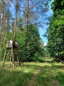ein Schild, das im Gras neben einem Feldweg steht in der Unterkunft Waldblick in Cavertitz + 6 Fotos
