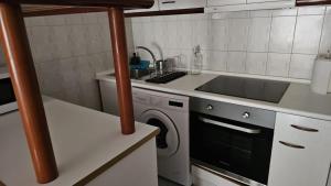 a kitchen with a sink and a washing machine at Apartamento Tramuntana in Canfranc-Estación