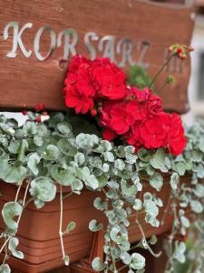 a bouquet of red flowers in a pot at Domki Delux w Helu in Hel