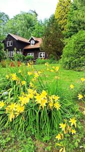 un campo de flores amarillas delante de una casa en Trzemcha en Tuchów