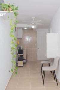 a living room with a plant growing on a wall at House Corner in San Pedro Sula