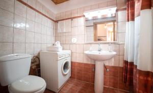 bagno con servizi igienici, lavandino e lavatrice. di MinoaHouse 1 bedroom,3 guests,bath tub & patio a Ierápetra