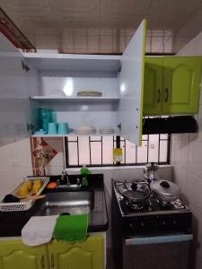 - une cuisine avec des placards verts, un évier et une cuisinière dans l'établissement Apartamento Morada Nobsa, à Nobsa