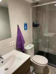 La salle de bains est pourvue de toilettes, d'un lavabo et d'une douche. dans l'établissement Urban Loft, à Alcorcón