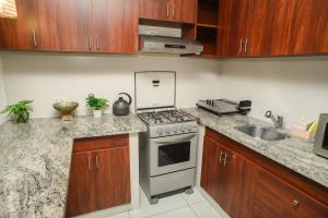 Kuchyň nebo kuchyňský kout v ubytování Downtown Apartments "Altos del Sur"