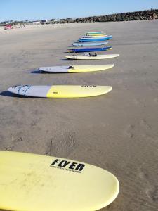 a row of surfboards lined up on a beach at Watergreenportugal in Ofir