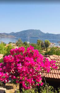 a bunch of pink flowers on top of a roof at Palmira Selimiye in Marmaris