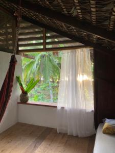 ein Fenster mit einem weißen Vorhang und einer Pflanze in einem Zimmer in der Unterkunft Popochos Beach Eco-Lodge in Nuquí