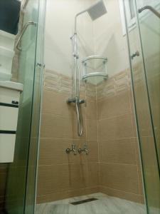 La salle de bains est pourvue d'une douche avec une porte en verre. dans l'établissement Appartement du Sacré cœur, à Alger