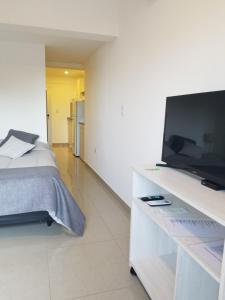 1 dormitorio con 1 cama y TV de pantalla plana en DELFINA suites 1A en La Rioja