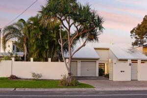 a palm tree in front of a white house at The Pod in Peregian Beach