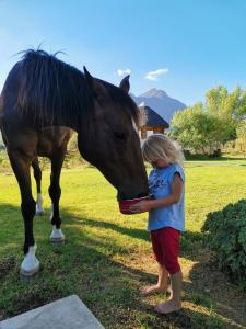 Una ragazza che dà da mangiare a un cavallo in un campo di Riviera Cottage a Tulbagh